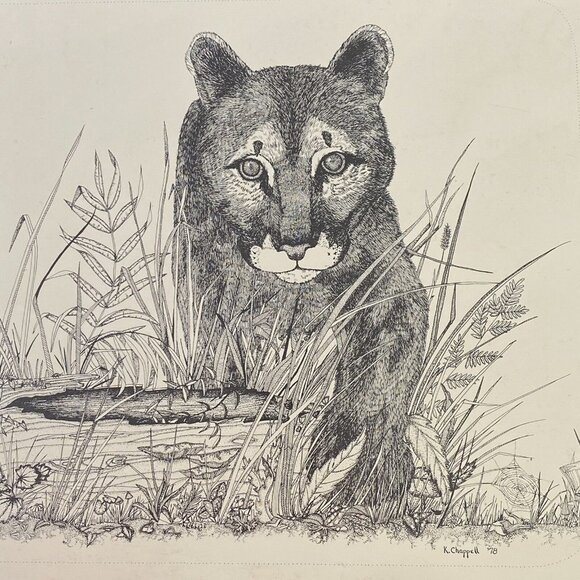 Karen Chappell Vintage Mountain Lion Ink & Pencil on Paper Drawing Signed 1978 - Picture 3 of 11